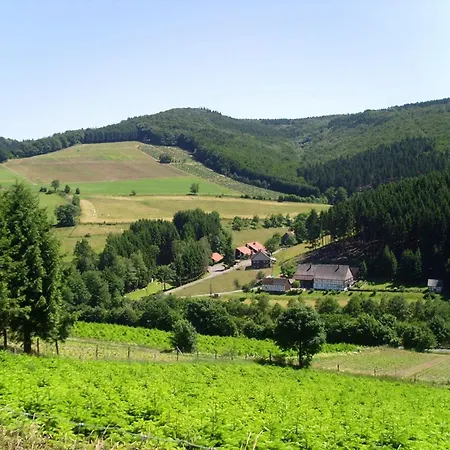 Cosy In The Hochsauerland With Terrace At The Edge Of The Forest * Schmallenberg
