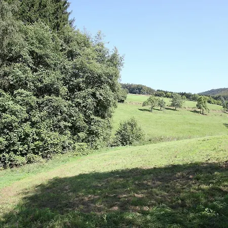 Cosy In The Hochsauerland With Terrace At The Edge Of The Forest Holiday home *