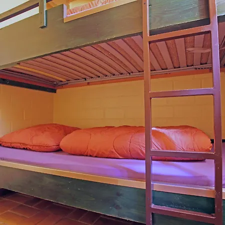 Cosy In The Hochsauerland With Terrace At The Edge Of The Forest