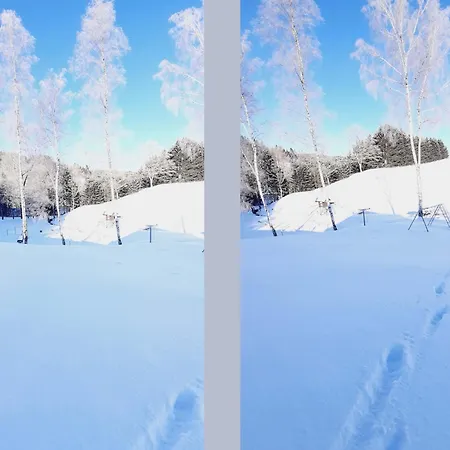 Cosy In The Hochsauerland With Terrace At The Edge Of The Forest * سشمالنبرغ