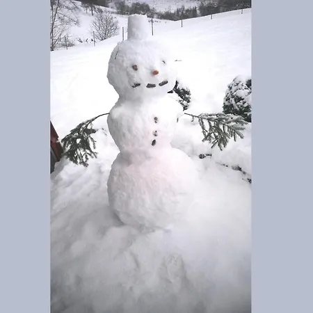 Cosy In The Hochsauerland With Terrace At The Edge Of The Forest بيت للعطل