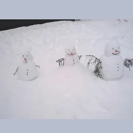 Cosy In The Hochsauerland With Terrace At The Edge Of The Forest سشمالنبرغ