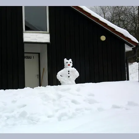 Cosy In The Hochsauerland With Terrace At The Edge Of The Forest بيت للعطل *