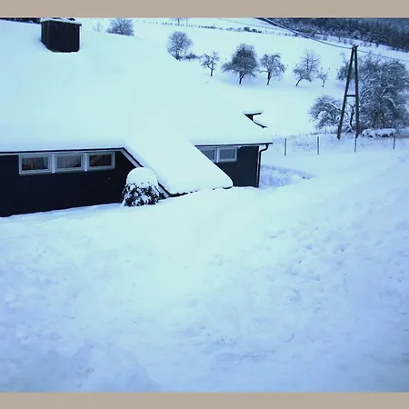 Feriehus Cosy In The Hochsauerland With Terrace At The Edge Of The Forest *