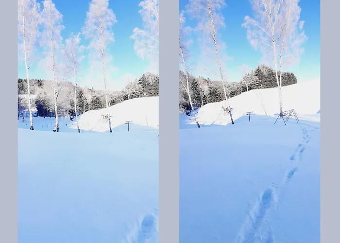 Cosy In The Hochsauerland With Terrace At The Edge Of The Forest * Schmallenberg