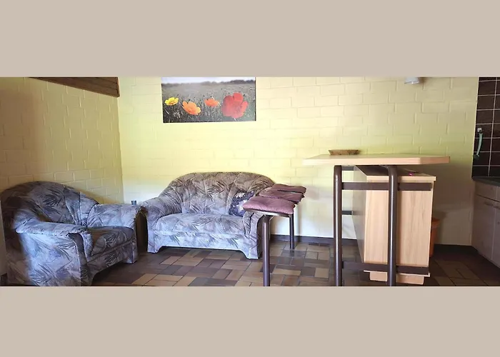 Vakantiehuis Cosy In The Hochsauerland With Terrace At The Edge Of The Forest *