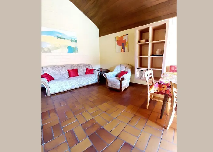 Cosy In The Hochsauerland With Terrace At The Edge Of The Forest