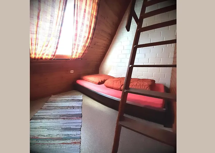 Cosy In The Hochsauerland With Terrace At The Edge Of The Forest Vakantiehuis