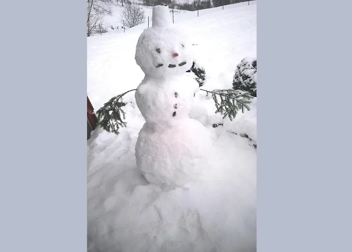 Cosy In The Hochsauerland With Terrace At The Edge Of The Forest Vakantiehuis