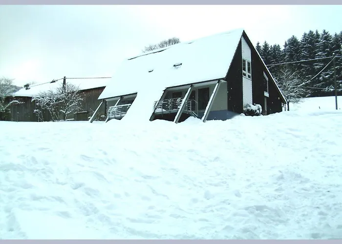 Cosy In The Hochsauerland With Terrace At The Edge Of The Forest