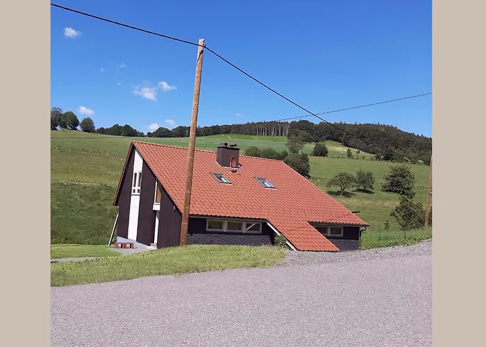 Vakantiehuis Cosy In The Hochsauerland With Terrace At The Edge Of The Forest *