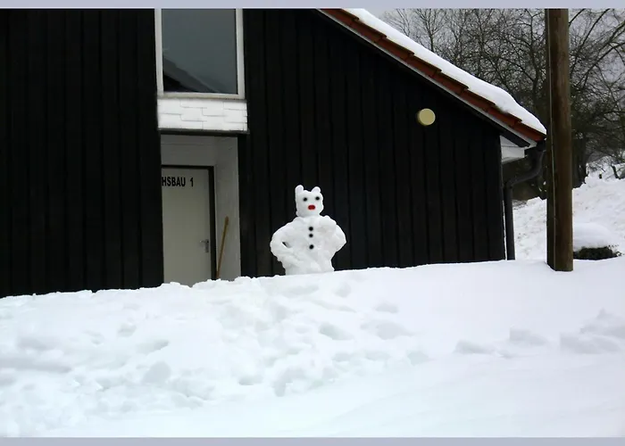 Cosy In The Hochsauerland With Terrace At The Edge Of The Forest Feriehus *